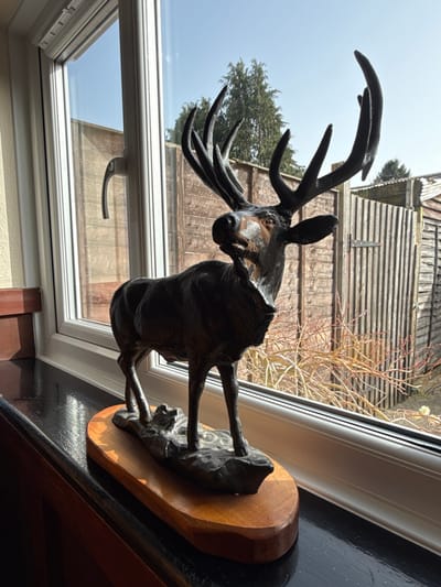 An indoor photograph displays a dark-colored statue of a male deer (stag) with prominent antlers, positioned on a black windowsill. The statue, which appears to be metal such as bronze, stands on a dark, textured base that rests on a polished light-brown wooden plinth with rounded edges. The deer is depicted standing, facing slightly right with its head tilted upwards. Behind the statue is a white uPVC window frame with multiple glass panes, and a white window handle is visible on the left vertical mullion. To the immediate left of the window, an interior wall with a light, textured finish is visible. Below the windowsill, a dark wooden panel or surface is present.
Through the window, an outdoor scene under a clear blue sky is visible, characteristic of the city of Whiteparish, United Kingdom. A tall, weathered wooden fence, composed of vertical planks, stretches across the midground. Behind the fence, a dense evergreen tree stands in the upper left, while several deciduous shrubs with numerous bare branches are visible to the lower right. A portion of a wooden garden shed with vertical siding is also visible in the right background, behind the fence. The scene is illuminated by bright sunlight.