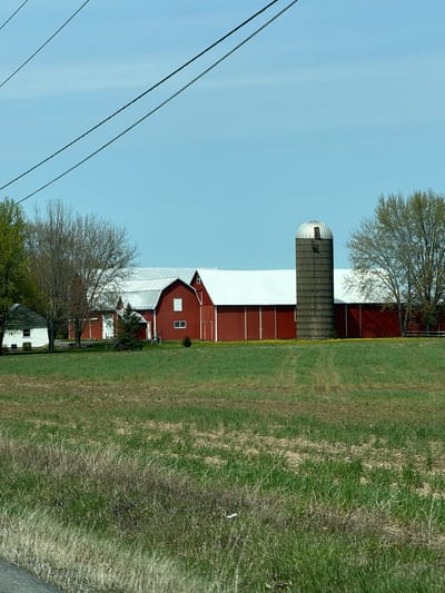 The image depicts a rural scene, featuring a farm complex against a clear blue sky. The farm consists of multiple red barns with white roofs and trim. A silo is situated adjacent to one of the barns. In the foreground, a field of mixed green and brown vegetation stretches out. Utility lines are visible in the upper left corner of the frame. A small white house is partially visible behind trees. The location is suggested to be in the city of Auburn, United States. There are no people visible in the image.