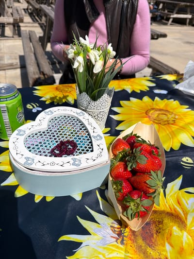 This image presents a vibrant outdoor scene, likely in Monistrol de Montserrat, Spain, featuring a collection of items on a table covered with a striking dark tablecloth patterned with large yellow sunflowers and small bees. The bright sunlight suggests it's daytime.
In the center, a small wooden boat-shaped container is filled with fresh, ripe red strawberries, their green caps still attached. Adjacent to this, a light blue heart-shaped box with a white, decorative lid captures attention. The lid is adorned with delicate cut-out designs of butterflies and small flowers, and features a grid-like opening revealing colorful foil squares and a sparkly red number '8' inside.
To the left, a bouquet of white flowers, possibly snowdrops or similar spring blossoms, is artfully wrapped in a white, lace-patterned material. A person is partially visible behind these flowers and to the left, wearing a light pink long-sleeved top and a dark vest or jacket. Their arm is near the bouquet.
A green beverage can is partially visible in the bottom left corner. Text on the can clearly reads "BEER", "CERVEZA", "BIRRA", and "DAMM", along with a barcode. The background shows blurred wooden structures, likely benches or railings, indicating a public outdoor setting. The overall impression is cheerful and pleasant, possibly a picnic or a market stall display.