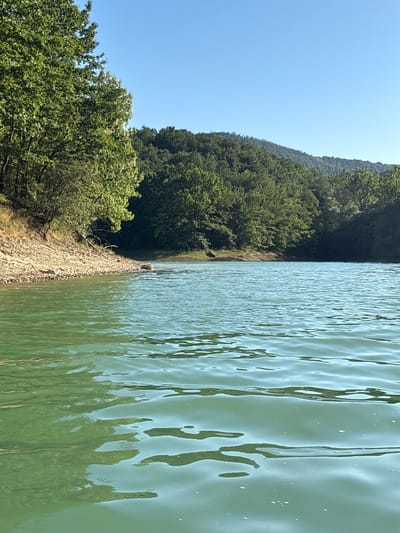 The image depicts a serene natural landscape with a clear blue sky above. In the foreground, the turquoise waters of a lake are visible, with gentle ripples on the surface reflecting the sunlight. The water appears calm and inviting, suggesting a peaceful environment.
To the left, a rocky shoreline slopes down to the water's edge, dotted with small stones and pebbles. Lush green trees, with dense foliage, line the shore and extend up the gentle incline of the land. These trees create a vibrant contrast against the water and the sky.
In the background, a rolling hill covered in a thick canopy of trees forms a picturesque backdrop. The overall impression is one of tranquility and natural beauty, with the landscape bathed in the warm light of day.
This scene is likely located in the vicinity of the village of Golyama Zhelyazna, Bulgaria, a region known for its natural splendor and proximity to bodies of water and forested areas.