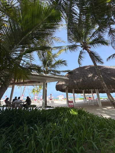This media file depicts a beach resort scene in Higüey, Dominican Republic, under a bright, clear sky suggesting a sunny daytime. Lush green palm trees frame the foreground, with their fronds reaching towards the sky. In the mid-ground, a thatched-roof palapa with white support columns provides shade over a sandy area. Beyond the palapa, rows of white lounge chairs and pink umbrellas are visible on the beach, hinting at a resort environment. The turquoise ocean is visible in the distance.
Several people are present. In the foreground, a group of individuals are seated at a table under a white structure, appearing to be enjoying a meal or drinks. Another person is standing behind them, perhaps serving. In the background, more people are scattered among the lounge chairs and near the water. The overall atmosphere suggests relaxation and leisure. The image has been rotated, so the scene appears to be upside down. No visible text is present in the media file.