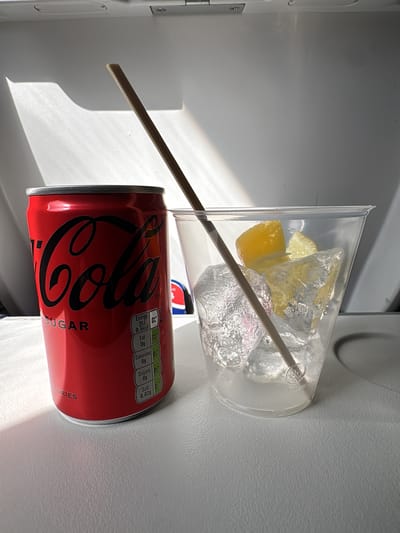 The scene depicts a still life arrangement on a light grey, textured surface, likely a tray table, within an indoor environment, specifically an aircraft cabin, located in Peschiera Borromeo, Italy. On the left, a red Coca-Cola Zero Sugar can stands upright, displaying its white logo and nutritional information panel. To its right, a clear plastic cup contains multiple irregular-shaped ice cubes, two citrus wedges (one yellow and one lighter yellow), and a small amount of clear liquid at the bottom. A light brown wooden straw is positioned diagonally within the cup. The background consists of a bright, light-colored interior wall with visible structural elements, illuminated by strong directional light that casts distinct shadows. No individuals are present in the image.