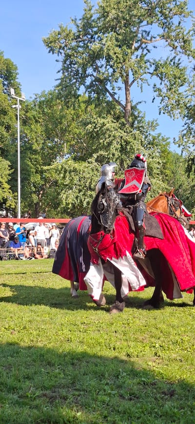 The image shows a jousting reenactment taking place in Turku, Finland. Two knights in full armor are on horseback, each with a shield and the horses are draped in colorful cloths. The scene is set on a grassy field with spectators in the background, some seated and some standing. Trees and a blue sky form the backdrop. The overall impression is one of a historical event or festival.