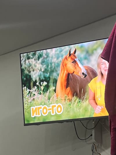 A television screen displays an image of a brown horse in a grassy field, with a smiling blonde woman in a yellow jumpsuit to its right. The Russian text "ИГО-ГО" is overlaid on the bottom of the image. The television is mounted on a wall in a room, and a dark red cloth is draped over the right side of the frame, partially obscuring the screen. The scene appears to be indoors, as indicated by the ceiling and wall. There is no visual information in the image to suggest a specific location in the city of Gorodets, Russia.