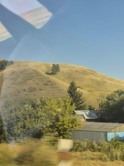 This image depicts a rural landscape with a gently sloping, golden-hued grassy hill under a clear blue sky. A few scattered trees are visible on the hillside. In the foreground, there are various structures including a long, rectangular building with a corrugated metal exterior and a translucent roof, possibly a greenhouse or storage facility, and a smaller, peaked-roof building with a gray roof. Dense green foliage and trees surround these structures and extend to the left of the frame. Reflections are visible on what appears to be a window, casting geometric shadows across the upper portion of the image. The overall scene conveys a sense of quiet, rural life.