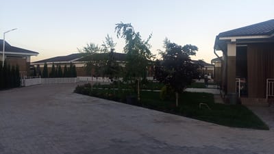 A spacious, paved driveway in front of several modern, single-story buildings with dark tiled roofs suggests a residential or commercial complex in Choktal, Kyrgyzstan. The buildings feature cream and brown facades, some with large covered outdoor areas. A neatly manicured lawn with trees, including birches and a dark-leaved tree, runs along the driveway. A white picket fence separates the lawn from another section of the property. In the distance, more buildings and greenery are visible. The scene is set during what appears to be early morning or late evening, given the soft, warm light and clear sky. No people or animals are distinctly visible.