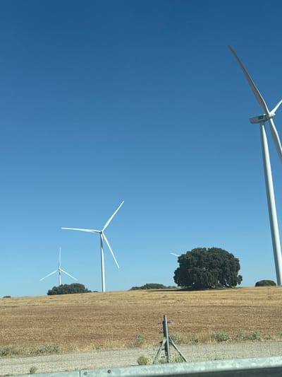 The image displays a field with several wind turbines against a clear blue sky. The turbines are white and have three blades each. The field is predominantly filled with dry, golden-brown grass, suggesting a rural setting. A few dark green trees are scattered across the field, with one prominent, large tree near the center of the image.
The composition is oriented such that the sky occupies the left side of the frame, and the field runs vertically along the right. This unusual orientation might indicate the photo was taken from a vehicle moving parallel to the field, or the camera was tilted. The time of day appears to be daytime, given the bright sky and clear visibility. There are no people visible in the image.
The scene evokes a sense of open space and possibly a renewable energy landscape. The dry field could indicate a specific season, like late summer or early autumn, common in regions like Motilla del Palancar, Spain. The overall impression is peaceful and natural, punctuated by the industrial presence of the wind turbines. There is no visible text in the image.