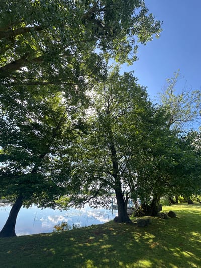 The image depicts a sun-dappled park with lush green grass and mature trees lining the edge of a calm body of water. The sky is a clear, vibrant blue. In the foreground, several large, dark stones are scattered on the grass. The water reflects the sky and the surrounding foliage. A wooden dock is visible on the left side of the water. The scene appears to be a tranquil outdoor recreational area. This location is identified as being in the Volozhyn Rural Council, Belarus.