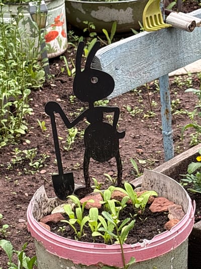 A black metal garden ornament of a rabbit holding a shovel stands in a pot of seedlings. The pot is a repurposed grey plastic bucket with a pink rim. The background shows soil, more seedlings, and decorative garden items, including a blue wooden plank with a yellow rake head attached. The scene appears to be a domestic garden. The specific location in Bratsk, Russia, cannot be determined from the image.