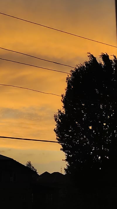 The image depicts a silhouetted tree and rooftops against a vibrant orange and yellow sunset sky. Power lines crisscross the frame, adding a modern element to the otherwise natural scene. The sky is filled with soft, wispy clouds that catch the warm hues of the setting sun, creating a serene and atmospheric effect.
In the foreground, the dark silhouettes of houses and a large tree dominate the lower portion of the image. The tree, with its dense foliage, is on the right side, its branches reaching towards the sky. On the left, the angular shapes of rooftops are visible, suggesting a residential area. A slender, distant structure, possibly a tower or antenna, can be seen in the background, peeking above the rooftops.
The time of day is clearly sunset, indicated by the intense colors in the sky. The weather appears to be clear, allowing for a full display of the sunset's beauty. The overall mood is tranquil and evocative, with the stark contrast between the dark silhouettes and the bright sky creating a sense of depth and drama. The location context provided is Zhanadaur, Kazakhstan, which, while not visually apparent in the image itself, adds a geographical anchor to the scene. No visible text is present in the image.