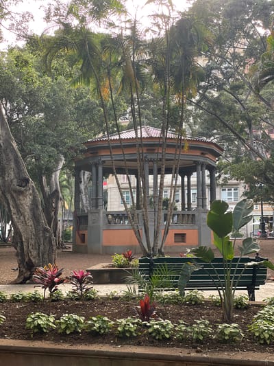 This image depicts a gazebo or bandstand in Santa Cruz de Tenerife, Spain. The structure has a multi-tiered roof and is supported by numerous columns. Palm trees and other foliage partially obscure the view. A bench is situated nearby, surrounded by greenery. Buildings are visible in the background. The lighting suggests a sunny day.