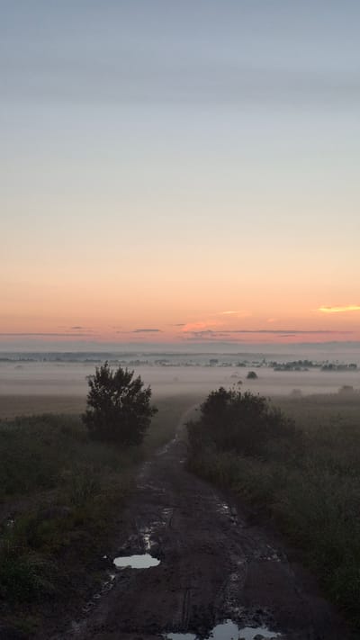 The image depicts a rural scene at dawn or dusk in Kaporskoe, Russia. The sky transitions from a pale blue on the left to warm orange and pink hues on the right, indicating the presence of the sun just above or below the horizon. A thick layer of fog blankets the landscape, obscuring details and creating a soft, ethereal atmosphere.
On the right side of the frame, a muddy track or path winds through overgrown vegetation. The ground appears wet and uneven, with several puddles reflecting the dim light. Dark green bushes and trees line the path, their silhouettes softened by the fog. A lone tree stands in the middle ground, its branches reaching out into the mist. In the distance, the fog creates a hazy horizon, with faint shapes suggesting buildings or structures.
The overall mood of the image is serene and tranquil, with a touch of mystery due to the fog. The natural light, soft colors, and quiet landscape evoke a sense of peace and solitude. There is no visible text in the image.