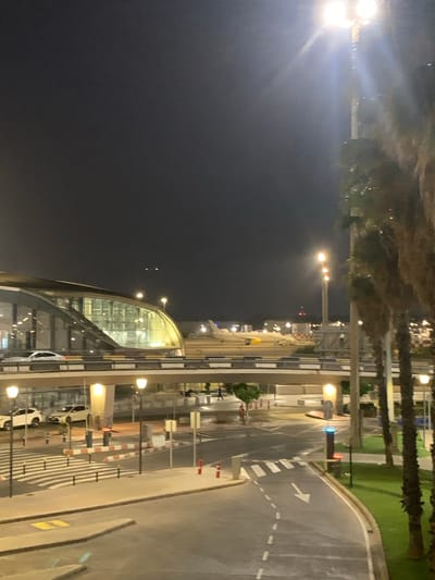 The image depicts an exterior scene at night, likely an airport, in Manises, Spain. In the foreground, a road with white arrows indicating direction curves to the right, bordered by a grassy area on the right and a striped pedestrian crossing with bollards on the left. A barrier arm is raised over the road. A traffic light on a pole displays a red light at the top, and blue and red lights are also visible on the pole. Further back, a raised overpass or bridge is visible, supported by pillars. Beneath the overpass, more streetlights and bollards line the road. Two white cars are parked near a building on the left, which appears to be a modern airport terminal with a curved, glass facade illuminated from within. Palm trees are visible on the right side of the image, obscuring part of the background. In the mid-ground, an airplane is parked on a tarmac, with airport infrastructure and buildings visible behind it, also illuminated. The sky is dark, indicating nighttime. Several streetlights are present throughout the scene, casting a warm glow.