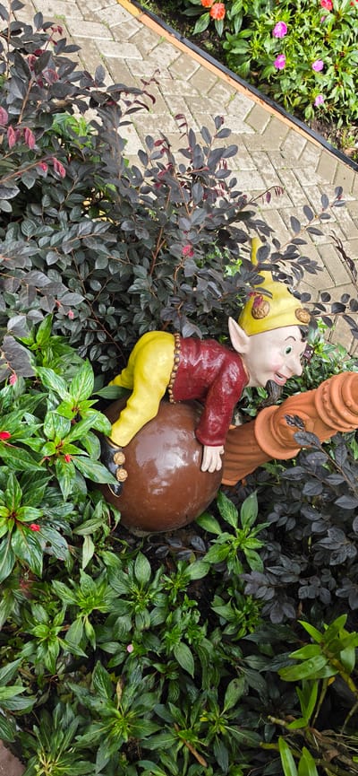 A garden gnome statue is positioned among various types of vegetation in what appears to be a garden setting. The gnome is wearing a red jacket, yellow pants and hat, and black shoes and appears to be pushing a brown spherical object, possibly a ball, against an orange clay pipe. Different types of green plants and bushes surround the gnome and the pipe. In the background, there is a brick path. The photo was taken in the city of Gramado, Brazil.