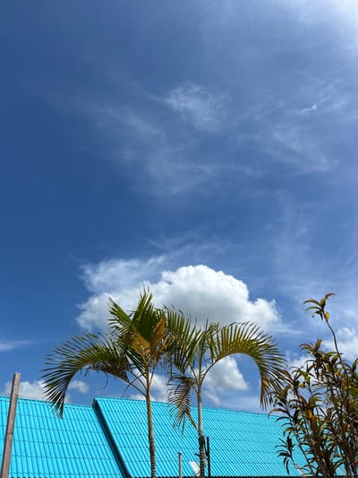 The image depicts a bright, sunny day with a clear blue sky filled with wispy white clouds. In the foreground, a vibrant turquoise tiled roof of a building is visible. Two palm trees with lush green fronds arch over the roof. To the right, a cluster of plants with reddish-brown leaves adds a touch of color to the scene. The background is dominated by the expansive sky, creating a sense of openness and tranquility. The scene suggests a tropical setting, likely in a coastal area, given the presence of palm trees and the clear, bright weather conditions. The location is identified as Tambon Ko Panyi, Thailand, a region known for its stilted villages built over the water and its picturesque natural beauty.