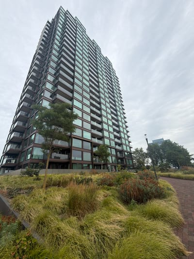 A low-angle, wide shot captures a modern, tall, multi-story residential building with a dark brown facade and numerous glass-paneled balconies. The building dominates the left side of the frame, stretching towards an overcast, pale gray sky. In the foreground and midground, a landscaped area features abundant, tall, light green and yellow ornamental grasses, interspersed with shrubs and some dry, reddish-brown foliage. A slender tree with green leaves stands in front of the building's lower levels. To the right, a pathway constructed of red bricks curves away from the viewer, bordered by more of the wild grasses. In the distance, behind the main building and to its right, another modern building with a blue-tinted top is visible, partially obscured by green trees. A single, tall, black lamppost with a white top stands along the brick pathway, leaning slightly to the left. Several indistinct figures are visible on the ground level of the main building, and a bicycle is parked near the entrance. The environment appears to be an urban outdoor setting, likely a residential complex or park, given the landscaping and architecture. The location is identified as Rijswijk, Netherlands.