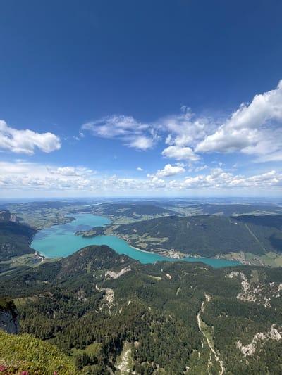 This is a high-angle, wide shot of a mountainous landscape with a large, turquoise lake. The sky is bright blue with scattered white clouds. The foreground is dominated by the steep, rocky slopes of a mountain covered in dark green coniferous trees. Some patches of lighter green grass and pink flowers are visible on the lower left portion of the foreground.
The middle ground features the expansive, clear turquoise lake, which winds through a valley. Along the shores of the lake are smaller clusters of buildings, indicating a town or village. The surrounding hills and mountains are covered in a mix of forests and agricultural land, with fields of varying shades of green.
In the distance, the landscape stretches out to the horizon, with rolling hills and mountains fading into a hazy blue. The overall impression is one of a vast, natural landscape under a clear, sunny sky. The scene appears to be a scenic overlook, possibly a popular tourist spot, offering panoramic views of the lake and surrounding countryside. The location is identified as Sankt Gilgen, Austria. There are no people, animals, or man-made vehicles clearly visible in the image.