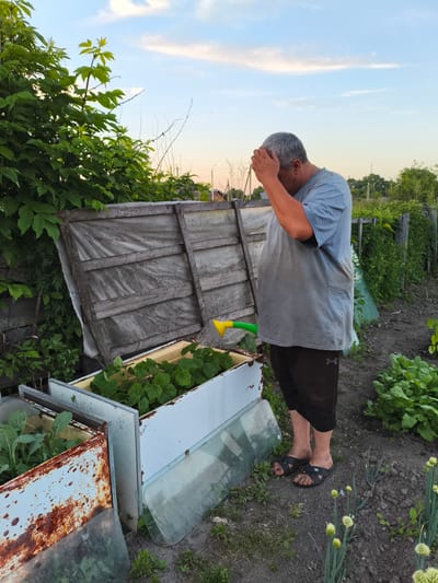 An adult male is standing in a garden, watering plants with a green and yellow watering can. He is wearing a grey t-shirt and dark shorts, with black sandals. The garden appears to be in the city of Ilmino, Russia. The man is positioned in the center of the frame, facing the plants. The plants are in a raised bed that appears to be made from an old refrigerator. The background shows more greenery and a wooden fence. The sky is partly cloudy with a sunset glow.