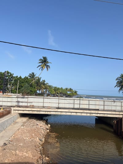 An eye-level, medium outdoor shot captures a scene of ongoing construction on a bridge over a small body of water in Maggona, Sri Lanka. The sky is a clear, bright blue, with a few wispy clouds and two black power lines stretching across the upper portion of the frame.

In the foreground, the body of water appears murky and brown, with ripples on its surface. The water's edge on the left is lined with rough, rocky terrain and some construction debris. A concrete pathway runs alongside the water and the construction site.

The bridge itself is a light-colored concrete structure, supported by concrete piers. A temporary metal barrier, likely for construction, runs along the top edge of the bridge. Underneath the bridge, the water flows into a darker, more shadowed channel.

Behind the bridge, a dense line of lush green trees and palm trees creates a tropical backdrop. One particularly striking palm tree leans dramatically to the left, its fronds silhouetted against the sky. In the distance, the ocean can be seen, with gentle waves rolling towards the shore. The overall impression is of a coastal area undergoing development.