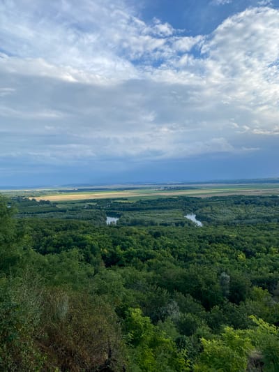The image captures a panoramic landscape view from an elevated position, likely a hill or viewpoint, overlooking a vast expanse of terrain. In the foreground, dense, lush green trees dominate the lower portion of the frame, with some dry, thorny underbrush visible on the left. As the eye moves further into the mid-ground, the dense forest gives way to a winding river or water channel that snakes through the trees. Beyond the river, the landscape transitions into agricultural fields, with patches of yellow and green indicating cultivated land. In the distance, rolling hills and a hazy horizon are visible under a dramatic sky filled with a mix of white, gray, and blue clouds, suggesting dynamic weather conditions. The overall impression is one of natural beauty and rural serenity. The location is identified as being in the city of Horești, Moldova.
