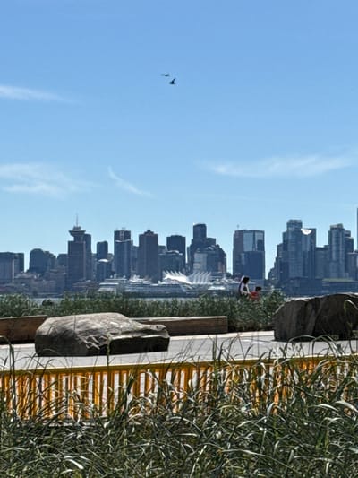 The image depicts a view of the Vancouver skyline from across the water, likely from North Vancouver, Canada. In the foreground, tall green grasses obscure a yellow railing. Two large, rough-hewn rocks are positioned behind the railing. Beyond them, two individuals, one adult and one child, are visible. The child is wearing a red shirt and the adult is wearing a white shirt with dark trim.
The middle ground features a body of water, likely Burrard Inlet, with several large cruise ships docked. The Vancouver skyline dominates the background, showcasing numerous high-rise buildings, including the distinctive Canada Place building with its sail-like structures. Two birds are visible in the clear blue sky above the cityscape. The overall scene captures a sunny day with good visibility.