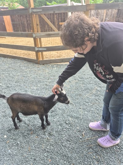 A person with curly brown hair, wearing a dark jacket with white and blue accents and blue jeans, is petting a small, dark-colored goat in an outdoor enclosure. The ground is covered with gray gravel. Behind the goat and the person is a wooden fence with wire mesh, and further back, a wooden wall and some greenery are visible. The person's feet are clad in light purple Crocs. The scene appears to be a petting zoo or farm area, possibly in Volzhskii, Russia, given the context.