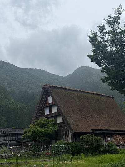 This is a photograph of a traditional Gassho-zukuri style farmhouse in Shirakawa, Japan, captured on an overcast day. The prominent two-story house in the midground features a steeply pitched, dark brown thatched roof and dark wooden walls with multiple rectangular windows fitted with white coverings. To the left of this main structure, another traditional Japanese building with a tiled roof is partially visible.

In the background, a dense forest of various green trees covers undulating mountains, appearing somewhat muted under the cloudy sky. A large, dark green deciduous tree frames the upper right portion of the image, while a smaller, lighter green tree stands in front of the main house's left side.

The foreground consists of a grassy area, partially enclosed by a low wire fence supported by stakes. A stack of firewood is visible against the side of the main farmhouse on the right. No individuals are present in the scene.