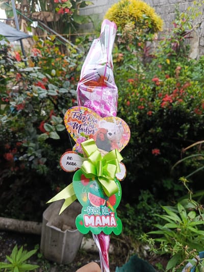 Here is a description of the image:

**Subject:** A decorated gift for Mother's Day (Día de la Madre).

**Objects:**
*   Balloons in a translucent wrapping.
*   Various heart-shaped tags/cards attached:
    *   One reads "Feliz Día de las Madres" (Happy Mother's Day).
    *   Another contains an image of a teddy bear.
    *   A blank tag that reads "DE: PARA:" (From: To:).
    *   A tag that reads "Feliz Dia Mama" (Happy Mother's Day Mom).
*   Green bow embellishment
*   Plants visible in the background.

**Environment:**
*   The background appears to be a lush garden.
*   A partial view of a concrete block wall is visible.

**Location Details:** The presence of Spanish greetings on the gift tags suggests a location in a Spanish-speaking country. The image's metadata specifies the city of Quevedo, Ecuador.