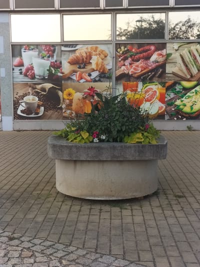 The image shows a large, cylindrical concrete planter filled with green leafy plants and a few small pink and white flowers. The planter is situated on a paved walkway made of rectangular and cobblestone bricks. In the background, a large mural or advertisement is displayed on a building. The mural is divided into multiple panels featuring various food items. The top left panel shows glasses of yogurt with berries and strawberries. The panel next to it depicts croissants on a wooden board. The bottom left panel displays a cup of coffee with cinnamon sticks and star anise next to coffee beans. The panel to its right shows jars of honey with a sunflower and a red flower. Another panel shows sliced sausages and cured meats. To the right of the meat panel, there are sandwiches. A panel below the sandwiches shows sliced grapefruits. Another panel features a slice of avocado toast. The building has large windows above the mural, reflecting the sky and trees, suggesting it is daytime with possibly overcast or early morning/late evening light. The overall scene appears to be an outdoor public space, possibly a sidewalk or plaza in front of a cafe or shop. The location is identified as České Budějovice, Czechia. There is no visible text in the image itself, other than what might be part of the printed mural advertisements.