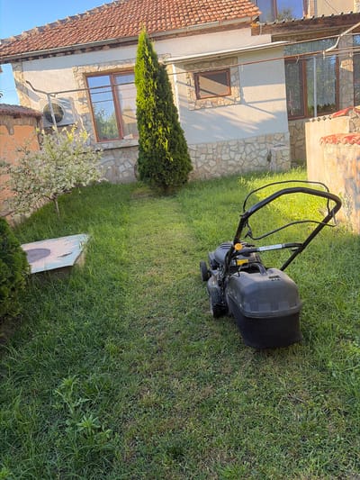 The image depicts a residential yard in Kozlovets, Bulgaria, under a clear sky with warm sunlight illuminating the scene. A grey and black lawnmower sits on a patch of green grass, positioned to the right of the frame. Behind the lawnmower, a portion of a building is visible, featuring a light-colored facade with stone accents and terracotta roof tiles. A tall, slender evergreen tree stands prominently in front of the building, to the left of center. To the left of the evergreen, a small tree with white blossoms is in bloom. A low, concrete structure with a painted surface is visible in the foreground, also on the left side of the yard. The yard itself is covered in grass, with some areas appearing more overgrown than others. The overall impression is one of a tranquil, domestic setting.