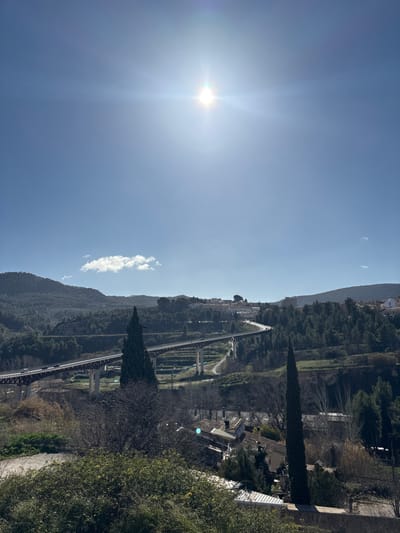 The image captures a wide-angle outdoor scene in Alcoy/Alcoi, Spain, under bright, direct sunlight. The sky is clear blue with the sun prominently positioned in the upper center, generating a distinct lens flare. A small, sparse white cloud is visible in the lower left quadrant of the sky.
The background consists of undulating, forested hillsides. In the middle ground, two parallel multi-span concrete viaducts with visible support pillars traverse a deep ravine. The leftmost viaduct carries vehicular traffic, with several vehicles discernible moving along its length. The rightmost viaduct curves to the right, also appearing to carry traffic. Beneath the viaducts, the terrain features terraced slopes covered with sparse vegetation. Residential buildings with tiled roofs are visible nestled within the valley below the structures. Two tall, slender evergreen trees, consistent with cypress species, stand prominently in the mid-ground, one centrally located and another towards the right. The immediate foreground comprises dense green shrubs and some bare deciduous trees. No individuals are explicitly visible; observed activity is limited to vehicular movement on the viaducts.