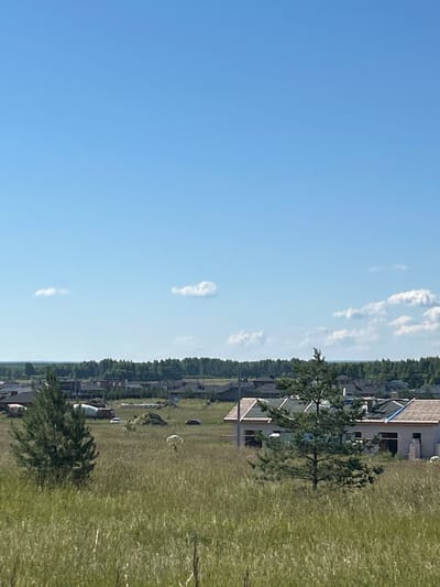 An outdoor, landscape, daytime, eye-level, medium shot shows a partially constructed suburban development in Zavolzhye, Russia. The sky is a clear, bright blue with a few wispy white clouds. In the foreground, tall, dry grass covers a field. Two pine trees stand in the middle ground, one on the left and one on the right. The tree on the right is in front of a partially constructed, single-story house with a brown tile roof and light-colored walls. Several other partially constructed houses are visible in the background, with dark roofs and lighter colored walls. A line of trees forms a dark green border across the horizon behind the development. In the middle ground, to the left of the right-hand pine tree, a concrete mixer truck and a white vehicle are parked in the field.