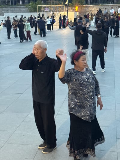 A group of people is engaged in an activity, possibly Tai Chi or a similar exercise, on a paved public square in Jinzhou, China. Two elderly individuals, one male and one female, are in the foreground. The man is wearing a black shirt and pants, with his hands near his face. The woman is wearing a patterned top and dark skirt. Other people are arranged in rows behind them, also performing similar movements. A fence and some foliage are visible in the background, with buildings in the distance. The scene is lit by natural light, indicating it is likely daytime or early evening.