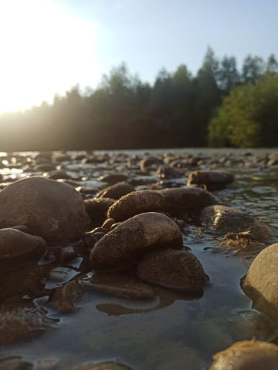A close-up, low-angle shot captures smooth, water-worn stones at the edge of a shallow river. Sunlight glints off the water's surface, creating bokeh effects. In the background, a dense line of trees forms a dark silhouette against a bright, hazy sky, indicative of a sunrise or sunset. The scene is devoid of any human presence or activity, focusing entirely on the natural elements of the river and its surroundings. This is likely a natural landscape in or near the city of Kniazhdvir, Ukraine, given the mention of its location.