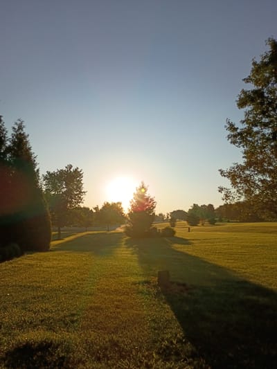 This image depicts a serene outdoor scene at what appears to be Versailles, United States. The primary subjects are a sunlit grassy field and trees, with the sun itself being a prominent feature, appearing low in the sky, indicating either sunrise or sunset. The lighting suggests a clear day with the sun casting long shadows.

The scene is dominated by a vast expanse of green grass, likely a park or manicured lawn, which is bathed in the warm, golden light of the sun. Trees are scattered throughout the landscape, some appearing in silhouette against the bright sky, while others are illuminated by the sunlight. A treeline borders the field, creating a natural boundary.

The activity taking place is simply the passive enjoyment of the natural environment. There are no people or explicit actions visible, contributing to a sense of tranquility and peace. The notable details include the time of day – likely early morning or late afternoon due to the low sun angle and warm light – and the clear weather. The location context of Versailles, United States, provides a geographical setting, but there are no specific landmarks that would further pinpoint the exact location within Versailles. The overall emotion evoked by the image is one of calm and natural beauty. No visible text is present in the image.