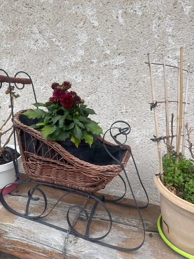 The image depicts an outdoor scene with a focus on decorative planters. In the foreground, a wicker basket planter shaped like a baby carriage is positioned on a weathered wooden surface. The basket contains a potted plant with dark red flowers and green foliage. The carriage-shaped planter has black metal scrollwork legs and a wooden handle. To the right of the carriage planter, another larger pot holds a green plant, supported by bamboo stakes. The background consists of a textured, light-colored wall. The overall setting suggests a garden or patio area. The location is identified as Les Rousses, France. There are no people or animals visible in the image.