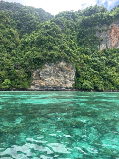 This is a photograph taken from the water, looking towards a steep, jungle-covered cliff face that rises dramatically from the sea. The water in the foreground is a vibrant turquoise, clear enough to see the rocky bottom beneath the surface in places. The cliff face itself is characterized by layers of rock, some appearing weathered and striated, interspersed with patches of lush green vegetation clinging to its surface and cascading down its sides. The overall impression is one of a remote and tropical coastal landscape. The image does not contain any specific markers or context to identify it as being located in Haad Hin Khom, Thailand.