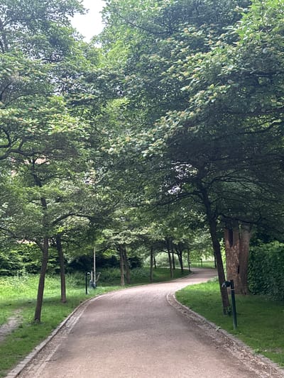 The image depicts a curved pathway in a park with trees lining both sides. The pathway is made of gravel with a brick border. Lush green grass and dense foliage are visible on either side of the path. In the background, there are more trees and some distant structures that are not clearly discernible. The overall scene suggests a tranquil park setting in Frederiksberg, Denmark.