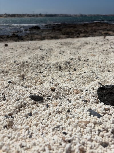 The image displays a close-up, low-angle perspective of a unique beach or ground surface, presented in a vertical orientation. The foreground is sharply focused, revealing a texture primarily composed of countless small, off-white, irregularly shaped granular particles that resemble popcorn or bleached coral fragments. Interspersed among these light-colored particles are numerous darker, porous, angular rocks, typical of volcanic material, ranging in size.

The background, heavily blurred, shows a calm body of water—the ocean or sea—under a clear, light blue sky. A narrow strip of darker, rocky coastline separates the detailed foreground from the distant water. The lighting suggests bright natural daylight, casting subtle shadows that highlight the three-dimensional texture of the ground material. The overall scene conveys a sense of natural beauty and tranquility.

No people or man-made objects are visible. The distinctive composition of "popcorn" like particles and volcanic rocks is characteristic of certain beaches in volcanic regions, aligning with the provided location context of La Oliva, Fuerteventura, Spain. There is no visible text within the image.