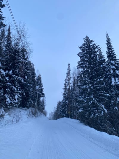 The image displays a winter landscape in Ласьва, Russia, centered on a snow-covered ascending unpaved road or path. The path exhibits multiple parallel track impressions in the snow. Dense, snow-laden coniferous trees line both sides of the path, forming a forest canopy that extends upwards. On the left side of the path, a wooden utility pole with insulators and visible wires is partially embedded in the snow-covered embankment. Further to the upper left, several bare electrical wires are visible against the sky. On the right side, a small, rectangular yellow sign with dark, illegible text is partially obscured by snow at the base of the trees. The sky above is uniformly overcast, appearing light blue-grey. No individuals, animals, or active interactions are present in the scene.