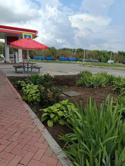 The image depicts a gas station in Novominskaya, Russia, under a cloudy sky. A red umbrella with a diamond pattern is set up over a picnic table and benches. In the foreground, there is a red brick walkway and a garden area with lush green plants and some roses. In the background, there are fuel pumps, trucks on a road, and trees. The overall scene suggests a typical roadside service area.