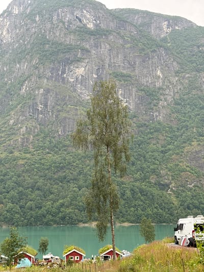 A scenic landscape in Olden, Norway, features a vast, rocky mountain face covered in green foliage dominating the background. In the middle ground, a tranquil, turquoise body of water stretches across the frame, bordered by a shoreline with several small, red cabins topped with grassy roofs. A tall, slender birch tree stands prominently in the foreground, its branches cascading downwards. To the right, a white camper van is parked on a gravel path, with a surfboard leaning against its side. The area around the cabins appears to be a campsite, with tents and a picnic table visible. The overall scene depicts a peaceful, natural setting with elements of human habitation.