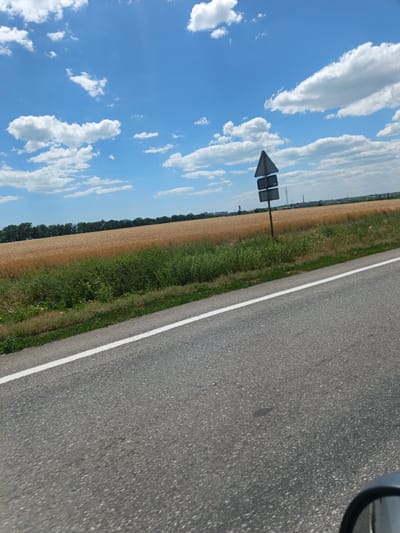 The image shows a rural road scene with a vast field of golden wheat stretching into the distance under a bright blue sky dotted with fluffy white clouds. The road, made of asphalt with a white dividing line, occupies the foreground and extends diagonally across the frame. To the left of the road, a strip of green vegetation, including grass and bushes, separates it from the wheat field. In the mid-ground, a triangular road sign with three rectangular plates is mounted on a pole. Beyond the wheat field, a line of trees forms a dark green border, and in the far distance, some industrial structures and buildings are visible on the horizon. The scene appears to be located in or around Sychavka, Ukraine, given the presence of a wheat field and a rural roadside environment characteristic of the region. There are no people or animals visible in the image, and no apparent actions or interactions are taking place. The environment is natural and agricultural, under clear daylight conditions.