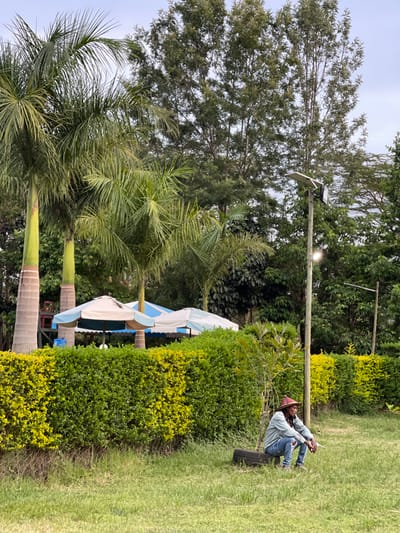 This image captures a tranquil outdoor scene, likely a garden or resort area in Makuyu, Kenya, abundant with lush vegetation and open space. A solitary figure is seated on a low, dark-colored bench or step on the right side of the frame. This individual, appearing to be male, is dressed in a light-colored long-sleeved shirt, blue jeans, and a reddish-brown wide-brimmed hat, with dreadlocks or long braided hair. He is positioned facing left, seemingly relaxed or resting in a contemplative posture.
The setting is characterized by diverse plant life. Tall, dense trees with dark green foliage form the backdrop, while several prominent palm trees with thick, textured trunks and large fronds stand in the mid-ground on the left. A well-maintained hedge, showcasing varied shades of green, runs across the mid-ground, bordering a grassy lawn that extends to the foreground. Beyond the hedge, partially obscured by the palm trees, are several large outdoor umbrellas or canopies, some white and others with blue and white stripes, suggesting an area for seating or dining.
Near the center, a wooden pole equipped with a solar panel and a light fixture indicates a solar-powered lighting system. Another similar pole is visible further in the background. The ground is covered by a neat, green grassy lawn. The bright, largely featureless sky suggests daytime, possibly under overcast conditions or diffuse sunlight, contributing to the calm ambiance. No visible text is present in the image. The scene conveys a sense of peaceful relaxation amidst natural beauty.