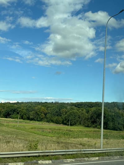 A daytime landscape scene is observed in Korostyshiv, Ukraine, from the perspective of a roadside. The upper two-thirds of the frame feature a clear blue sky sparsely populated with white cumulus clouds. A dense, verdant forest forms the horizon line, dominating the background. Below the forest, a field extends into the midground, presenting segments of dry, light-brown grass alongside areas of cultivated green crops arranged in visible rows. Two slender, dark-colored utility poles are partially visible within this field. In the immediate foreground, a grey metal guardrail runs horizontally across the bottom, resting on a concrete road barrier. A tall, slender, grey metal street lamp post, equipped with a dark, modern LED light fixture, extends vertically from the bottom to the top edge along the right side of the image. No individuals or vehicles are present.