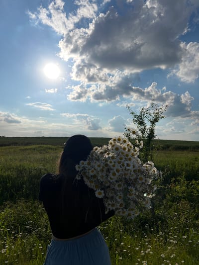 In a sun-drenched field of wildflowers, a person wearing a black t-shirt and light blue shorts stands with their back to the camera. They are holding a large bouquet of white daisies. The person is wearing a black baseball cap. The sky above is a brilliant blue, dotted with fluffy white clouds, and the sun is bright and prominent. The field is lush with green grass and numerous small white wildflowers, similar to the ones in the bouquet. In the background, a thin, leafy tree stands amidst the expanse of the field. The scene suggests a rural setting, potentially in or around Ilavche, Ukraine, given the natural landscape and open fields.