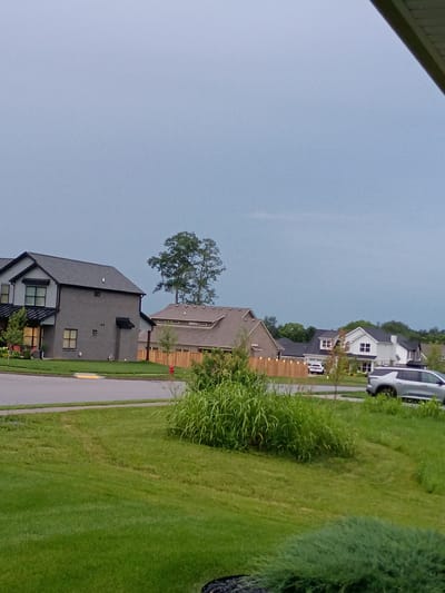 This image depicts a residential street scene in Nicholasville, United States of America, on an overcast day. In the foreground, a well-maintained green lawn occupies the bottom portion of the frame. A portion of a dark green bush is visible in the lower right corner. In the middle ground, a street curves into the distance, with a sidewalk or curb bordering the lawn. Tall, green grass and reeds grow along the edge of the street and sidewalk. A red fire hydrant is visible amidst the foliage.
Several modern houses are visible in the background. The house on the left is a two-story structure with a gray brick first floor and a gray upper story, featuring dark gray trim and a dark gray roof. It has several windows and an attached garage. Next to it, another house with a tan roof and tan siding is partially visible. Further down the street, a white two-story house with black trim and a black roof is prominent, with multiple windows and a chimney. Two cars are parked on the street in front of this house.
To the right of the white house, a silver SUV is parked on the street. A wooden fence with string lights runs along the property line between the houses. A large, mature tree with lush green foliage stands tall behind the houses. The sky is a uniform, pale blue-gray, suggesting cloudy conditions. The scene appears to be a typical suburban neighborhood.