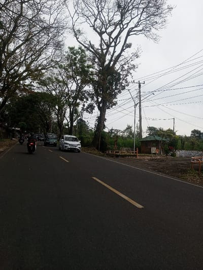 The image displays a roadside scene in Sat Thay (East), Myanmar, under an overcast sky. A dark asphalt road, featuring a solid yellow center line and a fainter parallel yellow line to its left, dominates the foreground and midground, receding into the distance. Several vehicles are observed traveling away from the camera: a white multi-purpose vehicle (MPV) occupies the right lane, followed by a dark-colored minivan. On the far left, two motorcycles are visible, one ridden by an individual in dark clothing.
The left side of the road is lined with a dense arrangement of mature trees, some forming a canopy, with additional vegetation and structural elements like walls visible beneath them. The right side of the road features large, mature trees, some with sparse foliage and exposed branches. Multiple utility poles carrying a complex network of overhead power lines are prominently positioned on the right. Further to the right of the road, a small, dark wooden structure with a green, sloped roof, possibly a kiosk or shelter, stands on a bare ground area. Adjacent to this structure are low stone walls and wooden benches. The sky is uniformly light grey, indicating overcast conditions.