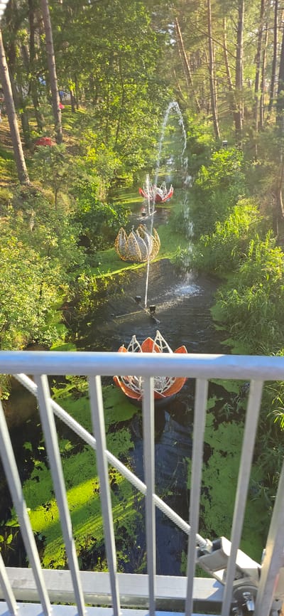 The image depicts a scenic view of a waterway in Neustadt-Glewe, Germany, likely at the Glühwürmchenpark or a similar park setting known for its illuminated installations. The waterway is densely covered with bright green aquatic plants, creating a vibrant contrast with the dark water beneath. Several large, lotus-shaped illuminated sculptures are floating on the water. One sculpture in the foreground is orange and white with a metallic mesh design, partially obscured by a light grey metal railing with diagonal cables. Further upstream, a second sculpture is golden and white, with a similar intricate mesh design. A third sculpture, further still, is red and white. Water fountains are active, with arcs of water spraying upwards and outwards over the sculptures and the waterway, catching the sunlight. The surrounding environment is a lush forest, with tall trees and dense green foliage providing a natural backdrop. The sunlight filters through the leaves, creating dappled light and shadows on the ground and water. The overall scene suggests a tranquil and artistic display within a natural park setting.