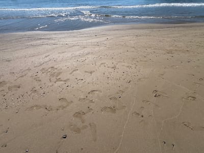 The image shows a sandy beach with footprints in the sand. The ocean is visible in the background with gentle waves. The sand is light brown and appears wet in some areas, closer to the water. There are small pebbles and shells scattered on the sand. The lighting suggests it is daytime. The image does not provide any specific information or context about the city of Rezovo, Bulgaria, beyond what is suggested by the visual elements of a typical beach scene.